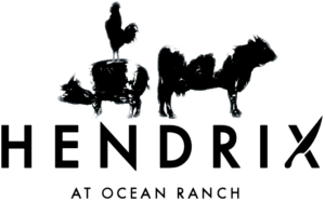 Hendrix Logo